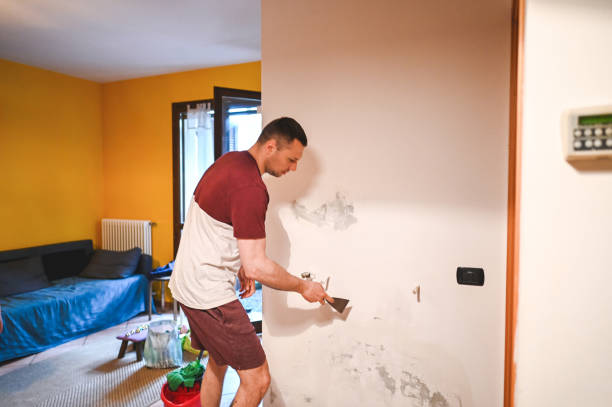 Webster, TX Mold Removal Company